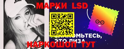 mdpv Новодвинск