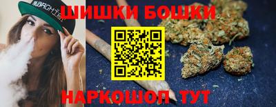 mdpv Новодвинск