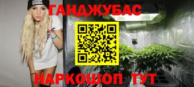 mdpv Новодвинск