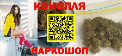 mdpv Новодвинск