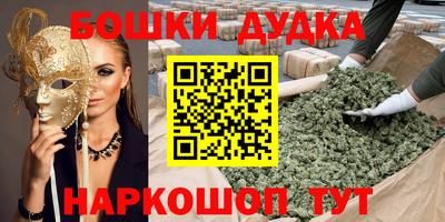 mdpv Новодвинск